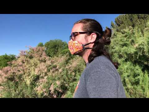 sedentary lifestyle in college age populations