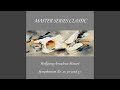 Symphony No. 30 in D Major, K. 202: II. Andantino con moto