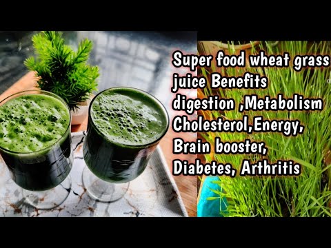 wheatgrass Juice Benefits| गेहूंके ज्वारेका ज्युस|Greenblood therapy with WheatGrass Juice |