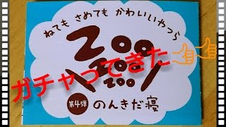 【ガチャ】『ZooZooZoo第４段ひまなの寝』をガチャってきた！