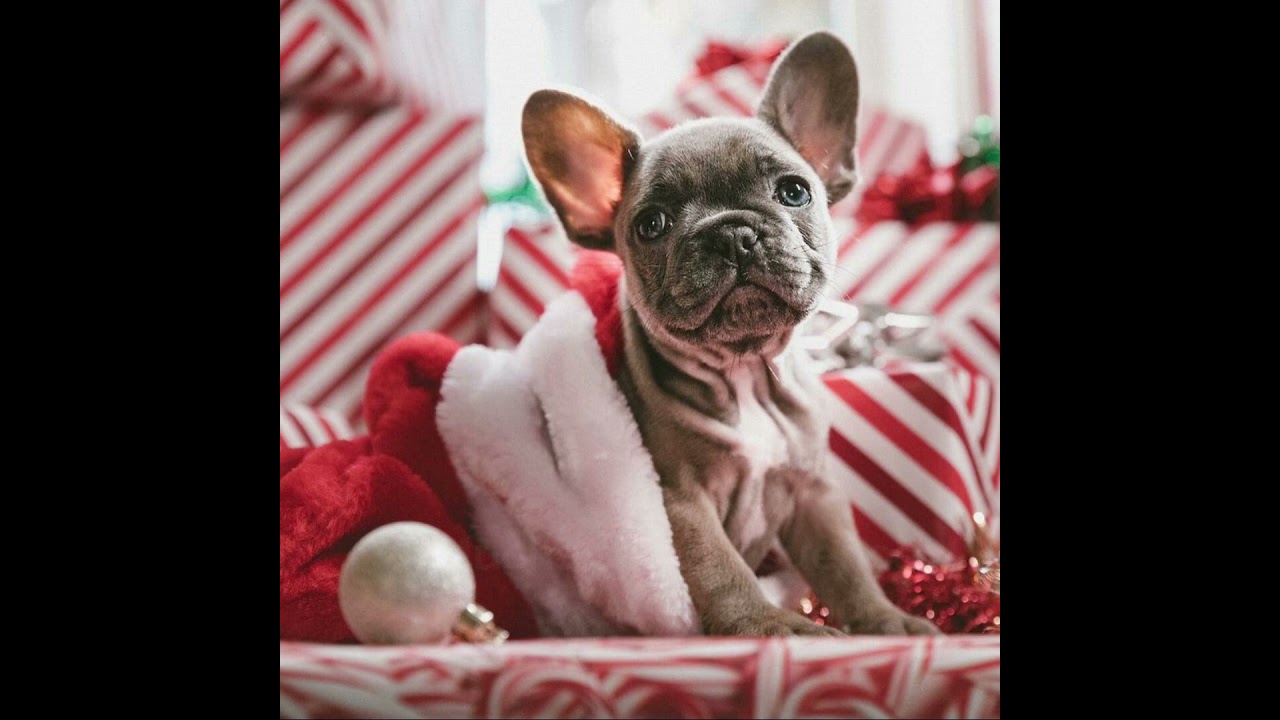 Cristina Vera Valle-32