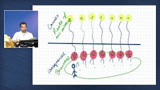 Fall 2017, Semester 1, Lesson 4: The language of Kabbalah