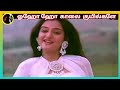 Oh Oh Kaalai Kuyilgale ஓஹோ ஹோ காலை ILAIYARAAJA S JANAKI