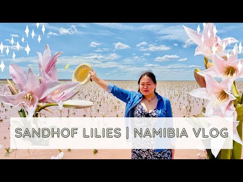 Going to see rare flowers of Namibia that only blooms for 7 days
