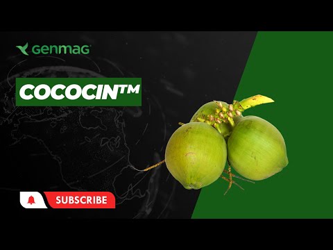 Cococin™ | GenMag.com