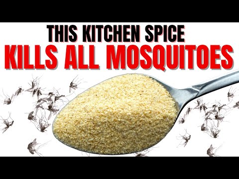 KILL Every Mosquito In Your Whole Yard | GUARANTEED SAFE METHOD