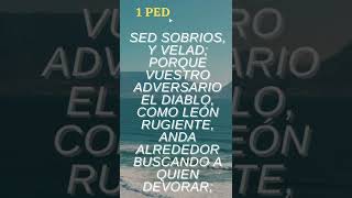 SED SOBRIOS, Y VELAD