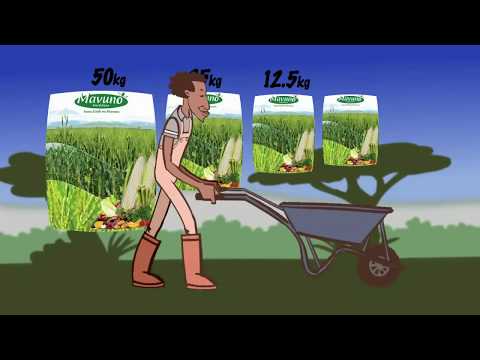 Shamba Shape Up Sn 8 - Ep 2: Watermelons, Green Maize, Dairy Cows (English)