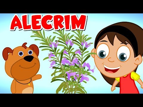 Alecrim Dourado | Músicas infants |   Músicas de Ninar