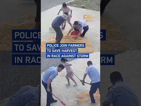 Police join farmers to save harvest in race against storm #CoolChina