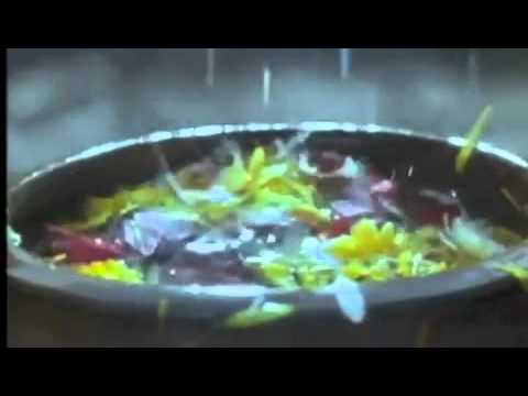 "Jon Benet" 18 Carat Affair