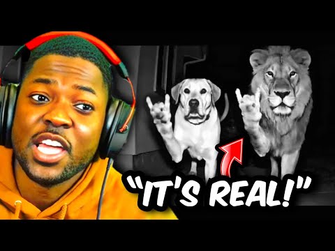 RDC Got Fooled By An AI-GENERATED Video... 😂 🤖