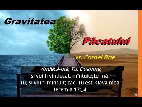 Gravitatea păcatului - fr.  Cornel Brie 2023 07 23 -  Cluj