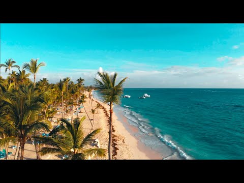 "The Chillest" by Rénald Sunset (4K Ultra HD)