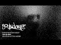 Boundaries - Darkness Shared (Official Audio)