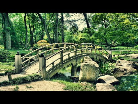 Đorđe Trajkovski - Glavno je ono što je glavno