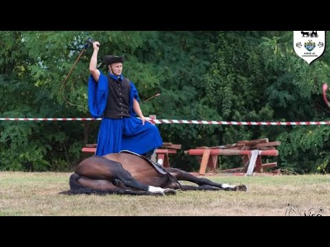 Losó Balázs - Életemnek van egy sötét pontja mix | Sándor Mátyás 20. születésnapjára