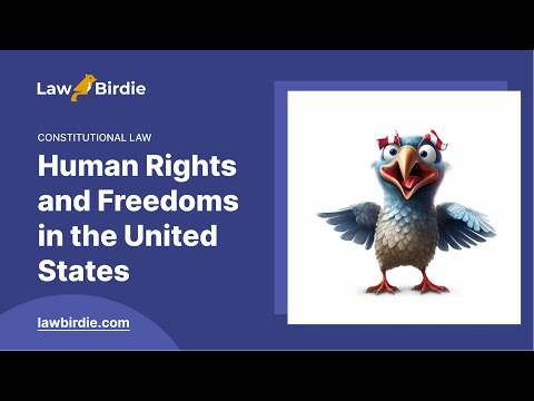 Human Rights and Freedoms in the United States - Essay Example