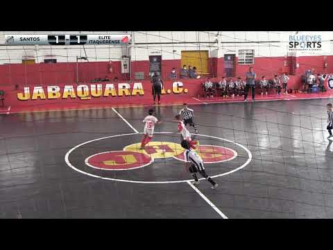 Santos geração 2011