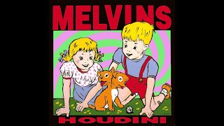 𝐌𝐞𝐥𝐯𝐢𝐧𝐬 - 𝗡𝗶𝗴𝗵𝘁 𝗚𝗼𝗮𝘁