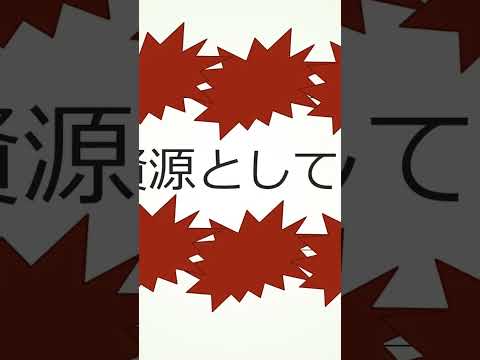 観光政策学科 2025年10月31日
