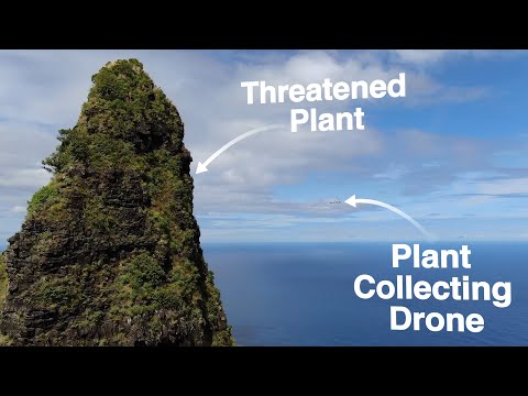Watch This Drone Collect Extremely Rare Plants in Crazy Dangerous Locations