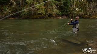 Downstream Perry Poke with OPST