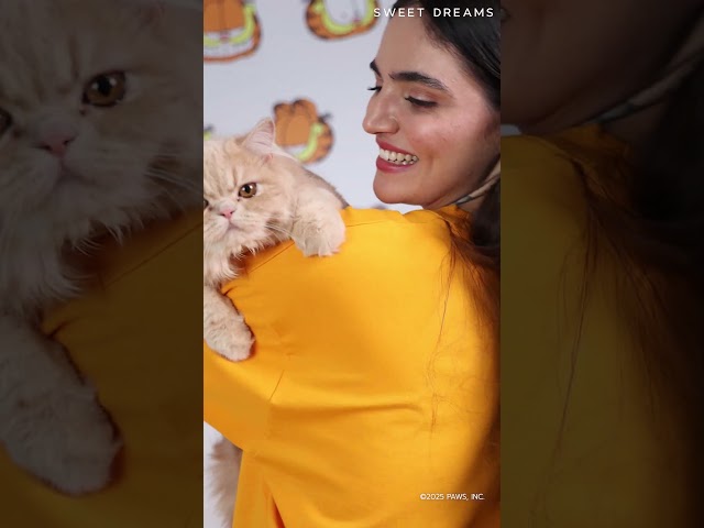 Vídeo relacionado con Garfield Pajamas Adultos Adultos Lazy Tabby Cat Camiseta de Camiseta PJS PJS - Grande