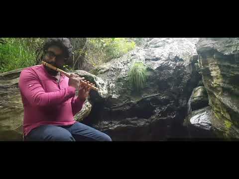 මේඝයක් සේ Flute Cover