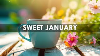 Happy Sweet January Jazz ☕ Elegant Smooth Coffee Jazz & Bossa Nova Music for Relaxation