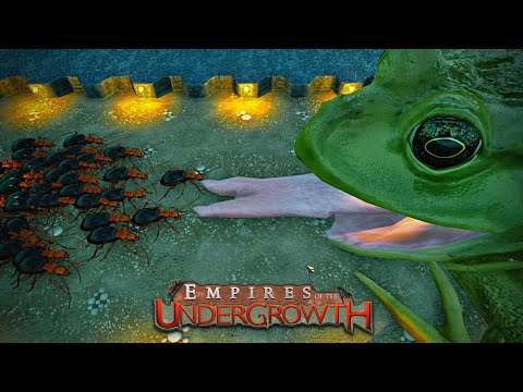 40 Bombardier Beetles vs American Bullfrog - Empires of the Undergrowth (Battle Arena)