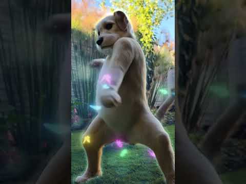 Día del amor 2025. San Valentín no falló con la Sandía