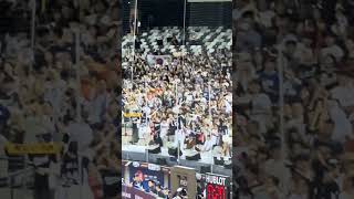 【PREMIER12 STARS】日本VS韓国@台北ドーム20241115 #台湾チア #cheerdance #cheerleading #啦啦隊 #韓国チア #premier12stars