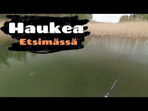 Haukea etsimässä [ Hauen heittokalastusta merellä ]