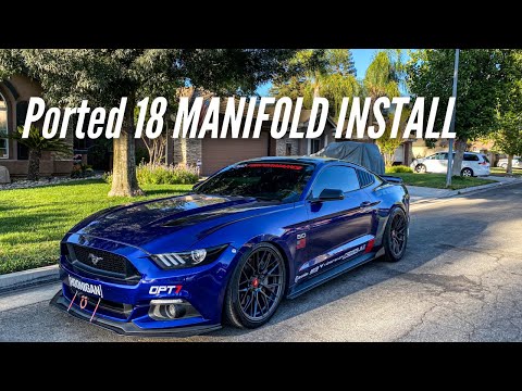 Turning My COYOTE 5.0 Into AN ALL MOTOR BEAST