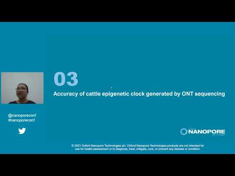 Loan To Nguyen: An epigenetic aging clock for cattle using portable sequencing technology