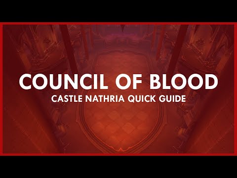 QUICK guide to Normal/Heroic COUNCIL OF BLOOD | Castle Nathria Quick Guides