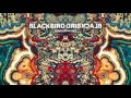Blackbird Blackbird - Darlin' Dear