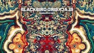 Blackbird Blackbird - Darlin' Dear