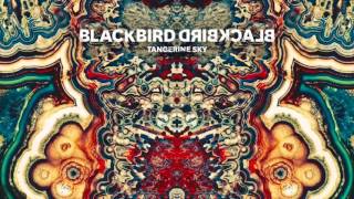 Blackbird Blackbird - Darlin&#39; Dear