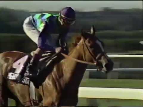 Meadow Star (Racing History)
