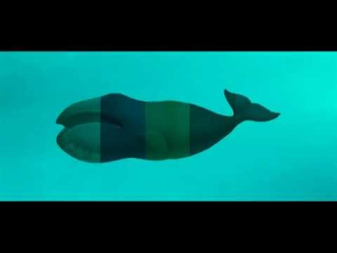 Tonto Mar video