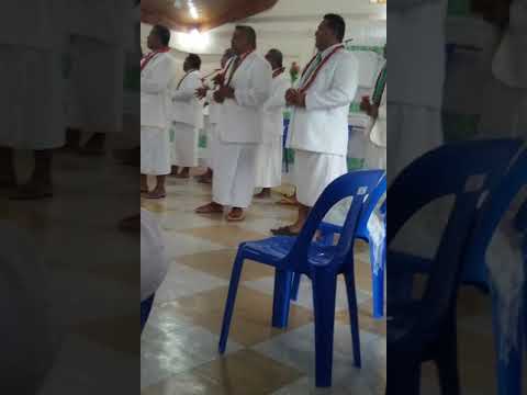 Metotisi Safotu Savaii