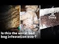 Horrific Bed Bug Infestation in Apartment Block - Worst Case Ever? Horrific Bed Bug Infestation in Apartment Block - Worst Case Ever?
