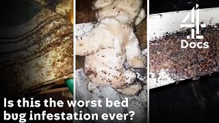 Horrific Bed Bug Infestation in Apartment Block - Worst Case Ever?