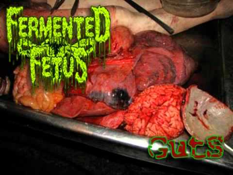 FERMENTED FETUS - Guts