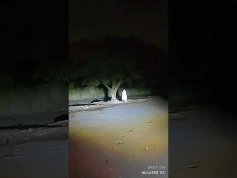 dancing white lady 😂