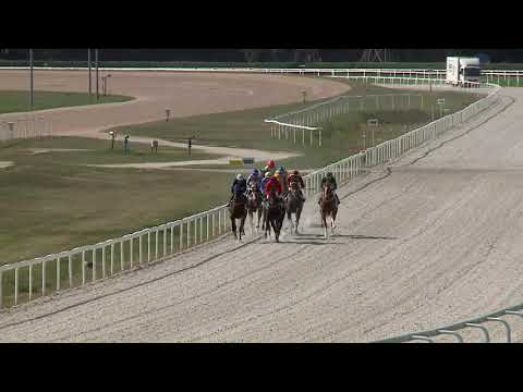 2020.09.13. 01. futam - FÉNYLŐCSILLAG HENDIKEP (V/b.) (szintetikus pálya)