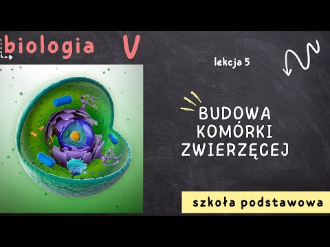Biologia klasa 5 [Lekcja 5 - Budowa komórki zwierzęcej]