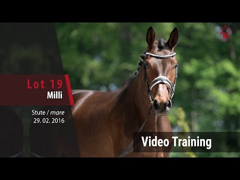 19 Milli v. Millenium - L´Espoir_Trainingsvideo